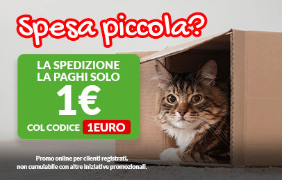Approfittane ora! 